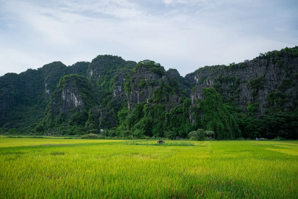 Kho gạo của Trần Tấn Hùng